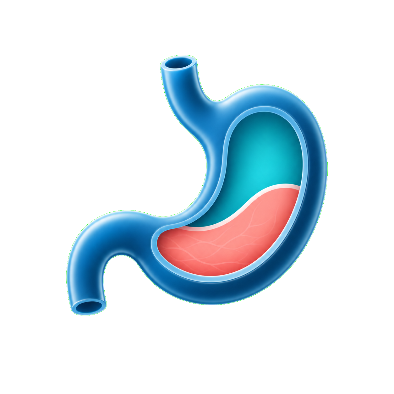 Icono de Gastroenterología